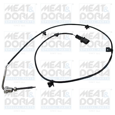Sensor, exhaust gas temperature